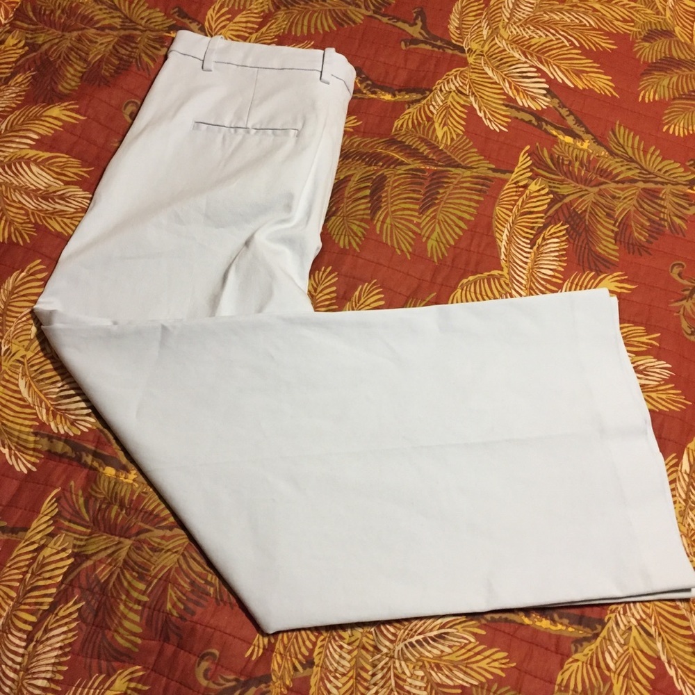 NWT Theory Nadeema Relaxed Chino Pants 8 light blue capri - Picture 4 of 5
